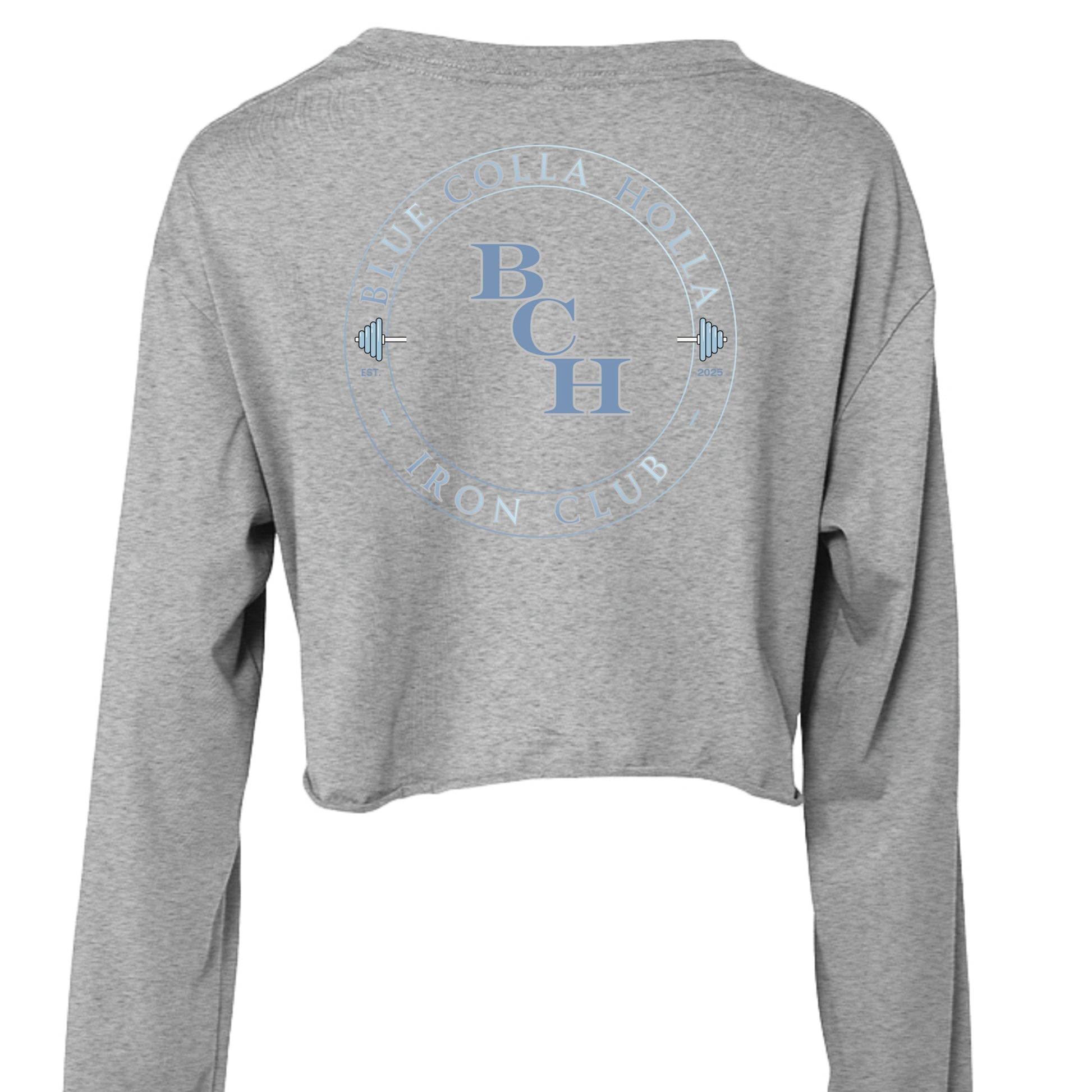 ATHLETIC HEATHER - 6501B - BACK